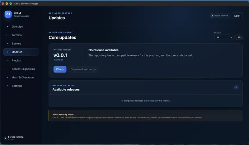 CH-J Server Manager – Bereich Updates: Versionsübersicht und Prüfung heruntergeladener Pakete.